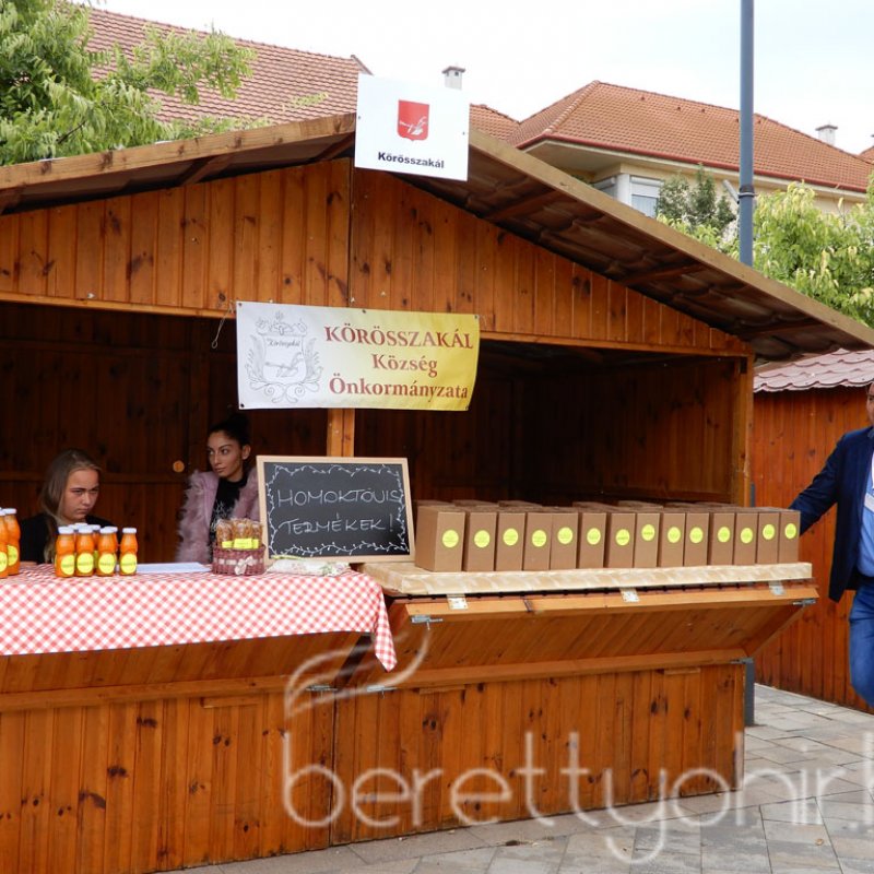 Helyi Értékek Startja 91